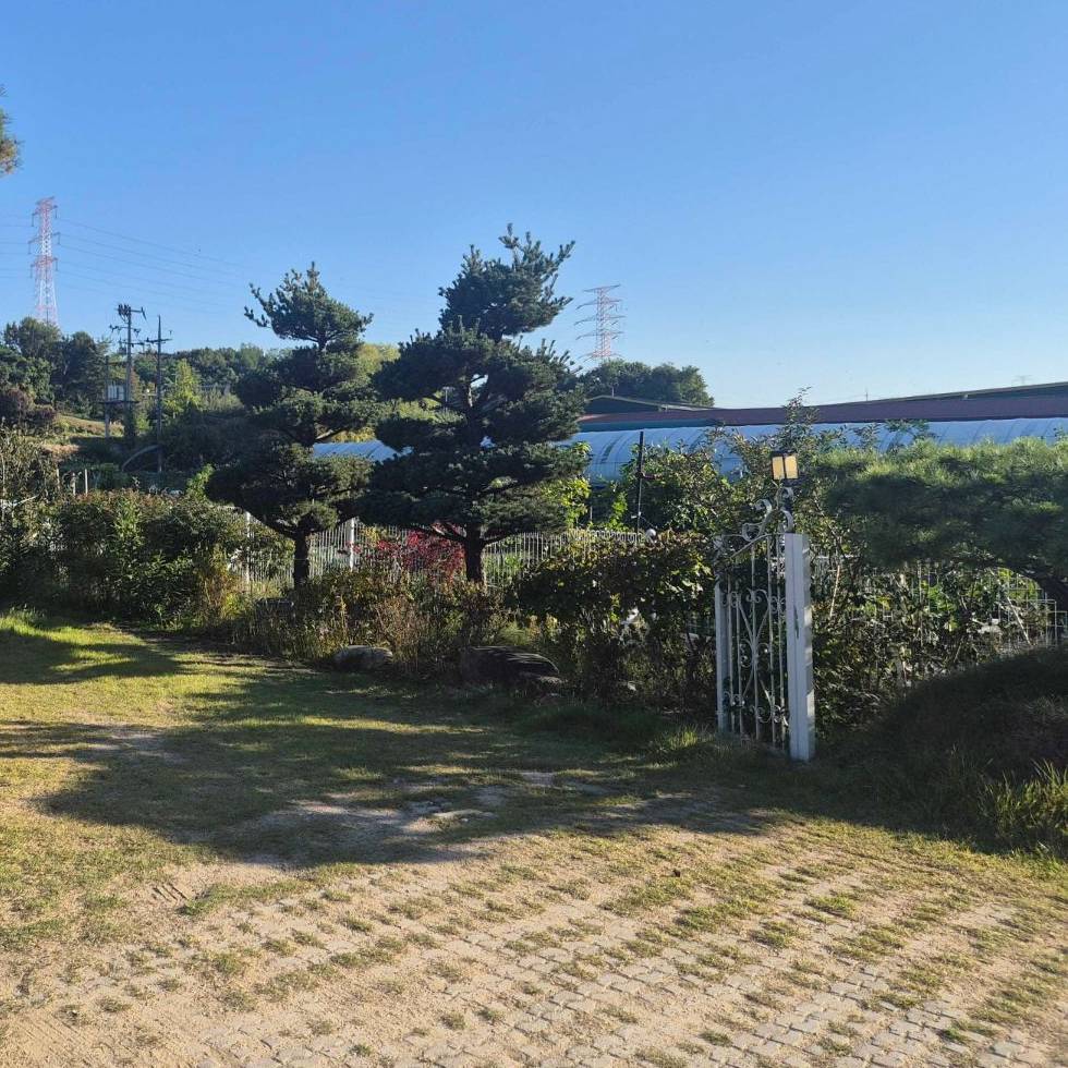 흰 철문과 소나무, 그 너머 텃밭